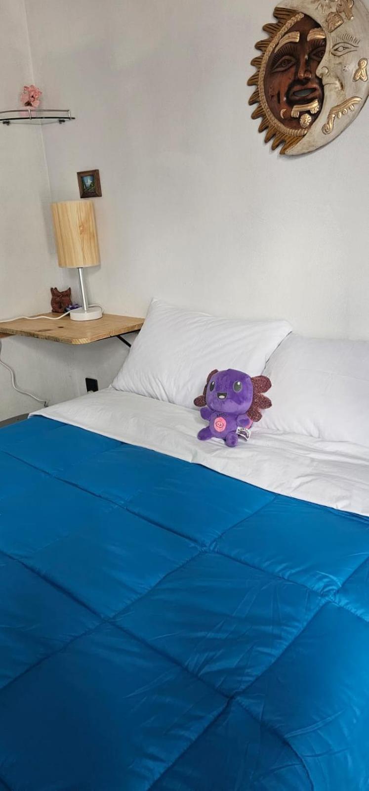מלון Santa Cruz Tecamac Casa Amarilla Tecamac מראה חיצוני תמונה